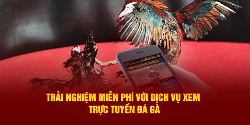 Trải nghiệm miễn phí với dịch vụ xem trực tuyến đá gà